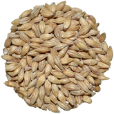 Dextrin Malt | CaraFoam® | Weyermann®